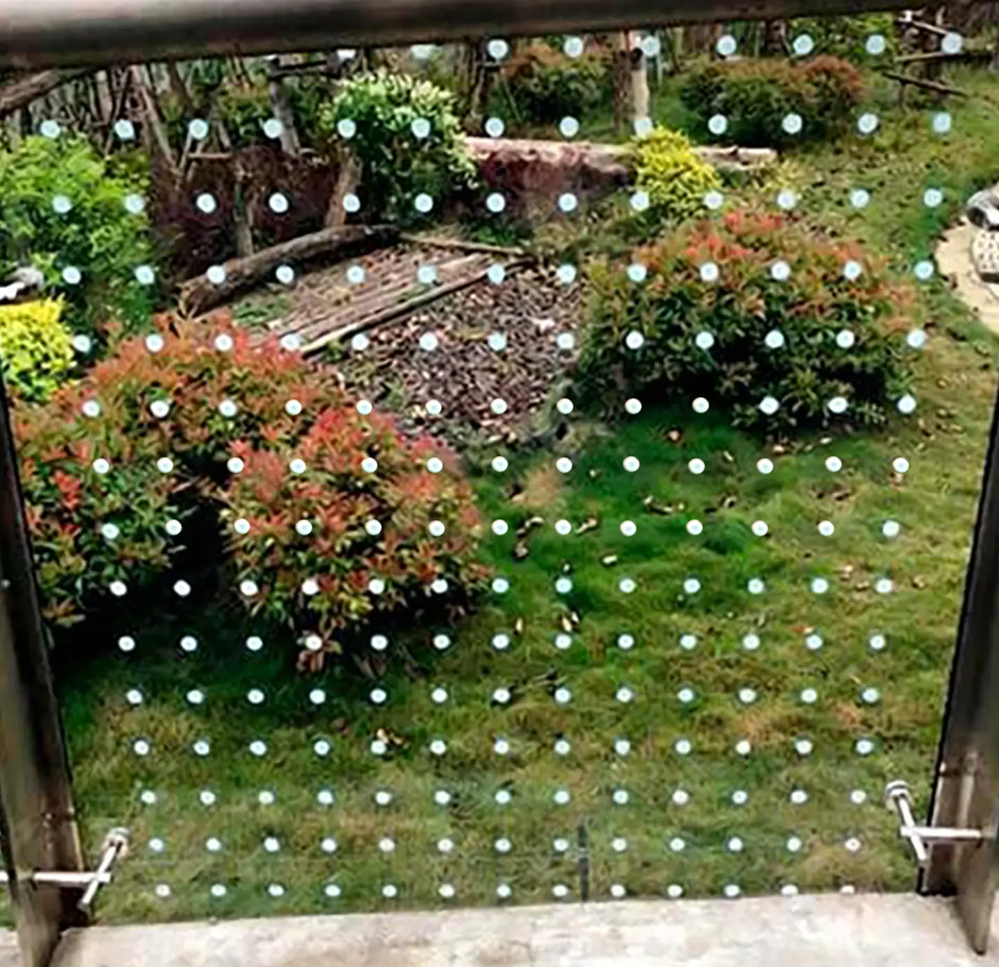 bird safety window film